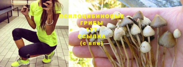 apvp Алексин